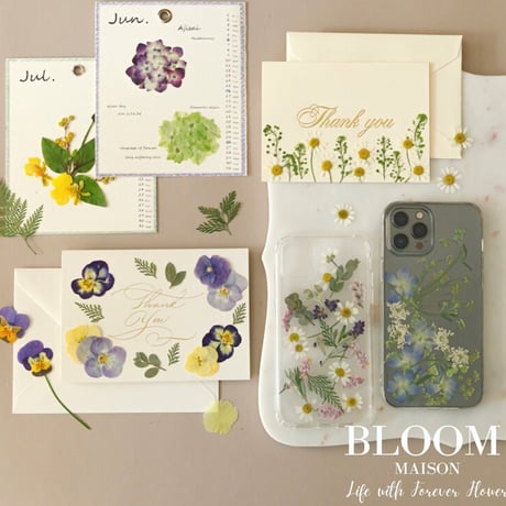 【押し花｜花材セット プリザーブドフラワーカスミソウ Pressed Flower Kit ギフト・ウェルカムボードなどのハンドメイドに】F-670 BLOOM MAISON