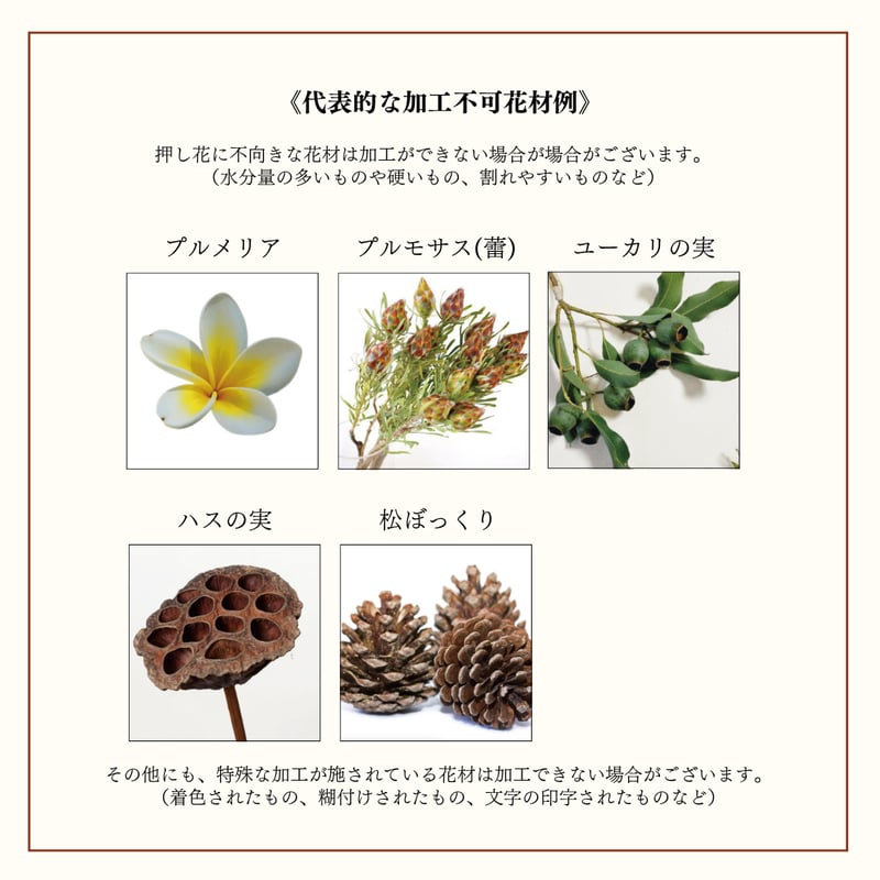 記念の花束を残す：Lapin/ラパン（うさぎ）イエロー※オーダーメイド 32
