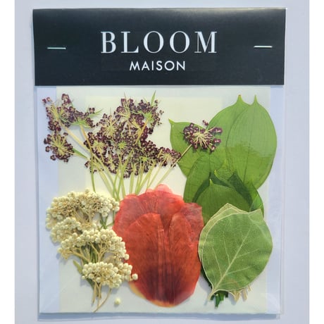 押し花｜花材セット チューリップ Pressed Flower Kit インテリア・ギフト・ウェルカムボードなどのハンドメイドに　F-859 BLOOM MAISON