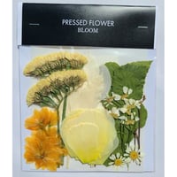 【押し花｜花材セット オーニソガラム Pressed Flower Kit ギフト・ウエルカムボードなどのハンドメイドに】F-486 BLOOM MAISON