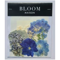 押し花｜花材セット スプレーデルフィニウム Pressed Flower Kit インテリア・ギフト・ウェルカムボードなどのハンドメイドに　F-1060 BLOOM MAISON