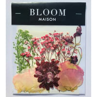 押し花｜花材セット トルコキキョウ Pressed Flower Kit インテリア・ギフト・ウェルカムボードなどのハンドメイドに　F-902 BLOOM MAISON