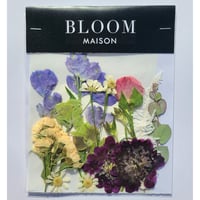 押し花｜花材セット スカビオサ Pressed Flower Kit インテリア・ギフト・ウェルカムボードなどのハンドメイドに　F-885 BLOOM MAISON