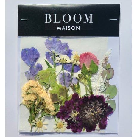 押し花｜花材セット スカビオサ Pressed Flower Kit インテリア・ギフト・ウェルカムボードなどのハンドメイドに　F-885 BLOOM MAISON