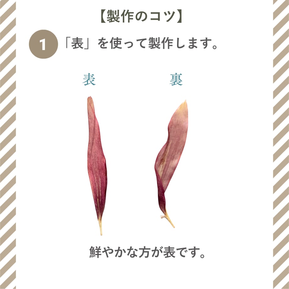69153b5c6cfe5332aa95c4d9