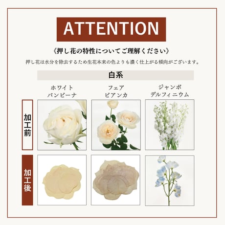 プロポーズ花束（押し花アート）：プティ アート(1枚)