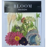 押し花｜花材セット マーガレット Pressed Flower Kit インテリア・ギフト・ウェルカムボードなどのハンドメイドに　F-1026 BLOOM MAISON