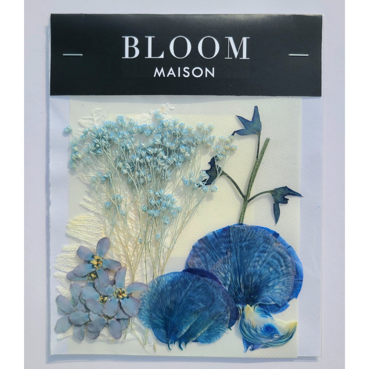 押し花｜花材セット ブルースター Pressed Flower Kit インテリア