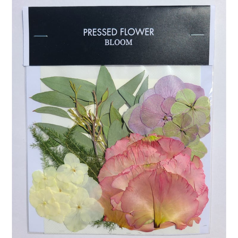 押し花｜花材セット トルコキキョウ Pressed Flower Kit ギフト
