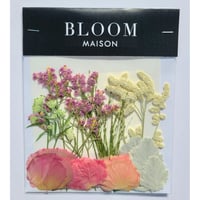 押し花｜花材セット シルバーキャット Pressed Flower Kit インテリア・ギフト・ウェルカムボードなどのハンドメイドに　F-992 BLOOM MAISON
