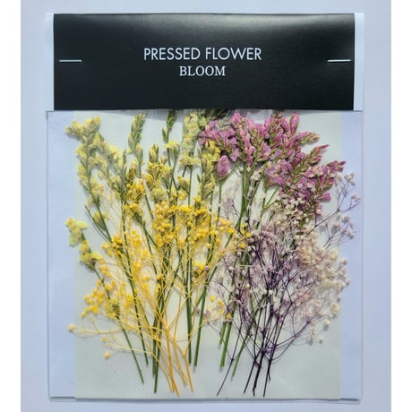 【押し花｜花材セット リモニウム Pressed Flower Kit ギフト・ウェルカムボードなどのハンドメイドに】F-603 BLOOM MAISON