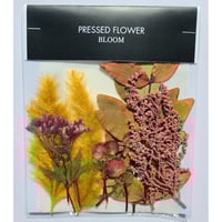 【押し花｜花材セット ストエベ Pressed Flower Kit ギフト・ウェルカムボードなどのハンドメイドに】F-568 BLOOM MAISON