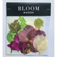 押し花｜花材セット 丹頂アリウム Pressed Flower Kit インテリア・ギフト・ウェルカムボードなどのハンドメイドに　F-832 BLOOM MAISON