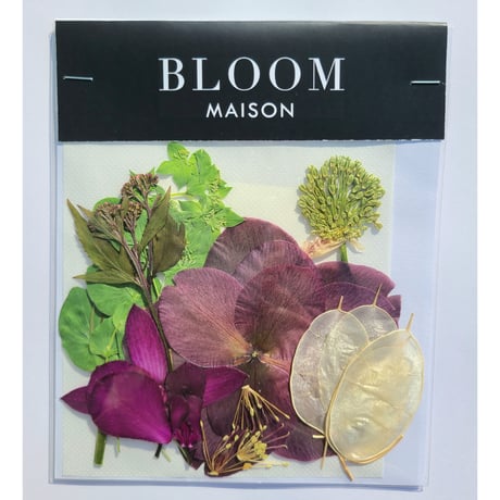 押し花｜花材セット 丹頂アリウム Pressed Flower Kit インテリア・ギフト・ウェルカムボードなどのハンドメイドに　F-832 BLOOM MAISON