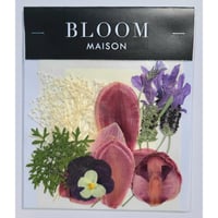 押し花｜花材セット シンビジューム Pressed Flower Kit インテリア・ギフト・ウェルカムボードなどのハンドメイドに　F-1037 BLOOM MAISON