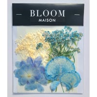 押し花｜花材セット スプレーデルフィニウム Pressed Flower Kit インテリア・ギフト・ウェルカムボードなどのハンドメイドに　F-854 BLOOM MAISON