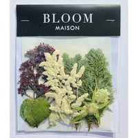 押し花｜花材セット シルバーキャット Pressed Flower Kit インテリア・ギフト・ウェルカムボードなどのハンドメイドに　F-739 BLOOM MAISON