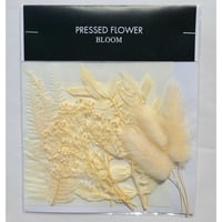 【押し花｜花材セット ホワイト花材 Pressed Flower Kit ギフト・ウェルカムボードなどのハンドメイドに】F-533 BLOOM MAISON
