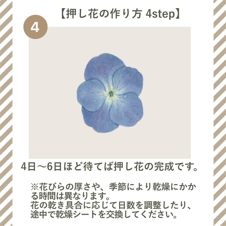 68e879bf3631dbb1338f6b54
