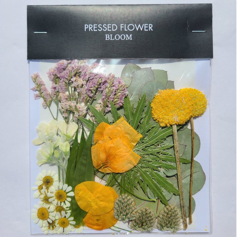 the other flower(花たん)『椿〜楓」6枚+購入特典付 Primrose Flower Voice 01.砂上 ユリカ/花たん - YouTube