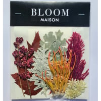 押し花｜花材セット ピンクッション Pressed Flower Kit インテリア・ギフト・ウェルカムボードなどのハンドメイドに　F-939 BLOOM MAISON