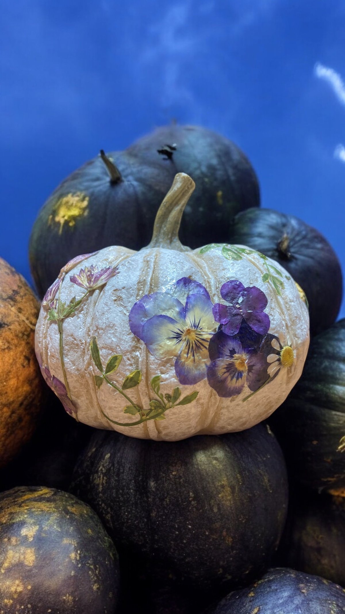 押し花のお教室：プティレッスン_押し花で彩るかぼちゃのオブジェを作