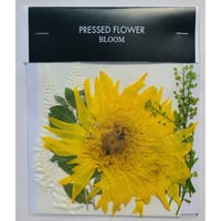 【押し花｜花材セット ヒマワリ Pressed Flower Kit ギフト・ウェルカムボードなどのハンドメイドに】F-546 BLOOM MAISON