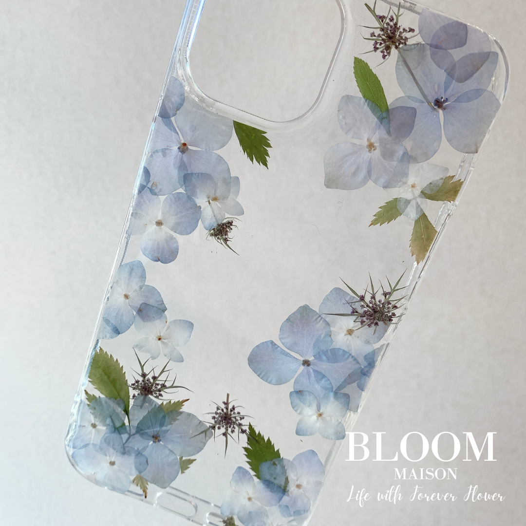 押し花　美品 朝ざくらⅠ(押し花)