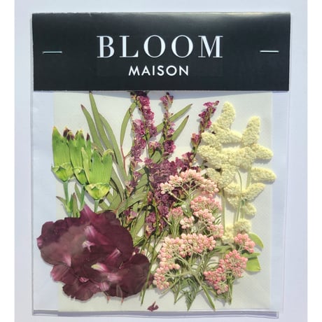 押し花｜花材セット シルバーキャット Pressed Flower Kit インテリア・ギフト・ウェルカムボードなどのハンドメイドに　F-811 BLOOM MAISON