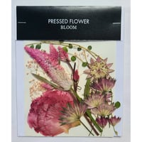 【押し花｜花材セット トルコ Pressed Flower Kit ギフト・ウェルカムボードなどのハンドメイドに】F-594 BLOOM MAISON