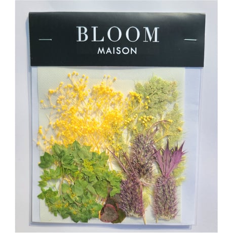 押し花｜花材セット ブプレリューム Pressed Flower Kit インテリア・ギフト・ウェルカムボードなどのハンドメイドに　F-778 BLOOM MAISON