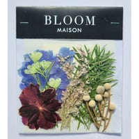 押し花｜花材セット シルバーブルニア Pressed Flower Kit インテリア・ギフト・ウェルカムボードなどのハンドメイドに　F-803 BLOOM MAISON