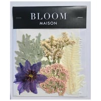 押し花｜花材セット リューココリネ Pressed Flower Kit インテリア・ギフト・ウェルカムボードなどのハンドメイドに　F-1083 BLOOM MAISON