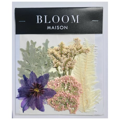 押し花｜花材セット リューココリネ Pressed Flower Kit インテリア・ギフト・ウェルカムボードなどのハンドメイドに　F-1083 BLOOM MAISON