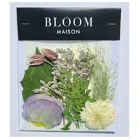押し花｜花材セット クレマチス Pressed Flower Kit インテリア・ギフト・ウェルカムボードなどのハンドメイドに　F-971 BLOOM MAISON
