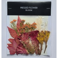 【押し花｜花材セット カンガルーポー Pressed Flower Kit ギフト・ウェルカムボードなどのハンドメイドに】F-576 BLOOM MAISON