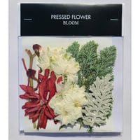 押し花｜花材セット ラクスパー Pressed Flower Kit インテリア・ギフト・ウェルカムボードなどのハンドメイドに　F-711 BLOOM MAISON
