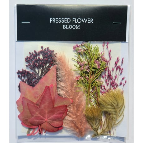 【押し花｜花材セット フィリカ Pressed Flower Kit ギフト・ウェルカムボードなどのハンドメイドに】F-627 BLOOM MAISON