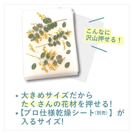 押し板　ベルト付き
