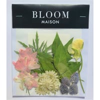 押し花｜花材セット ソケイ Pressed Flower Kit インテリア・ギフト・ウェルカムボードなどのハンドメイドに　F-821 BLOOM MAISON
