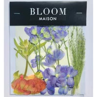 押し花｜花材セット デルフィニウム Pressed Flower Kit インテリア・ギフト・ウェルカムボードなどのハンドメイドに　F-926 BLOOM MAISON