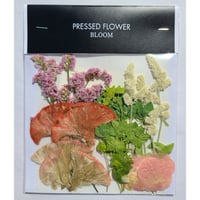 【押し花｜花材セット ブプレリウム Pressed Flower Kit ギフト・ウェルカムボードなどのハンドメイドに】F-616 BLOOM MAISON