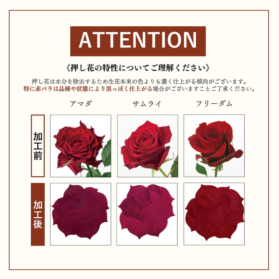 61809d82ac3661101c0b5297
