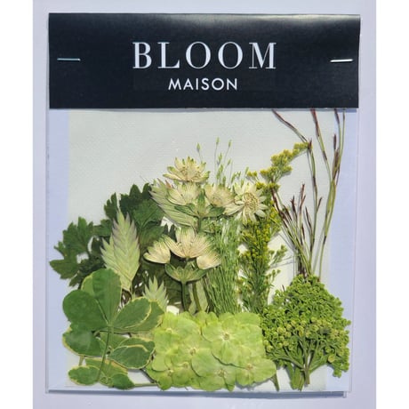押し花｜花材セット コロニラ Pressed Flower Kit インテリア・ギフト・ウェルカムボードなどのハンドメイドに　F-959 BLOOM MAISON