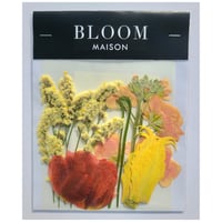 押し花｜花材セット グロリオサ Pressed Flower Kit インテリア・ギフト・ウェルカムボードなどのハンドメイドに　F-868 BLOOM MAISON