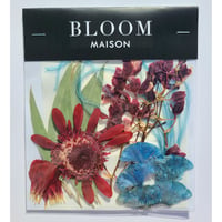 押し花｜花材セット フェザーグラス Pressed Flower Kit インテリア・ギフト・ウェルカムボードなどのハンドメイドに　F-817 BLOOM MAISON