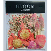 押し花｜花材セット セロシア Pressed Flower Kit インテリア・ギフト・ウェルカムボードなどのハンドメイドに　F-930 BLOOM MAISON