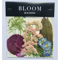 押し花｜花材セット スイートピー Pressed Flower Kit インテリア・ギフト・ウェルカムボードなどのハンドメイドに　F-993 BLOOM MAISON