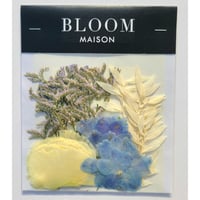 押し花｜花材セット ラスカス Pressed Flower Kit インテリア・ギフト・ウェルカムボードなどのハンドメイドに　F-1067 BLOOM MAISON