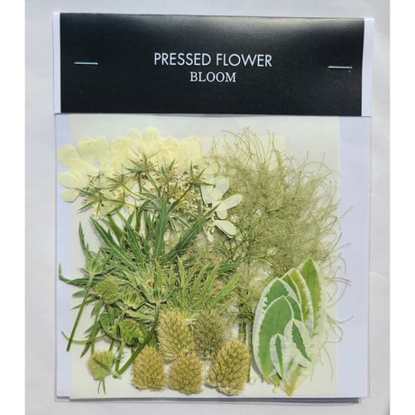 【押し花｜花材セット オルレア Pressed Flower Kit ギフト・ウェルカムボードなどのハンドメイドに】F-625 BLOOM MAISON